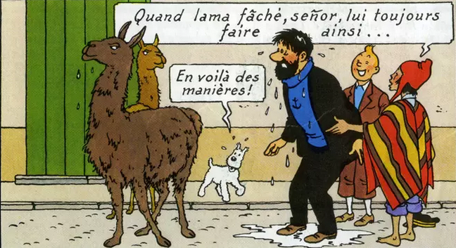 tintin.png