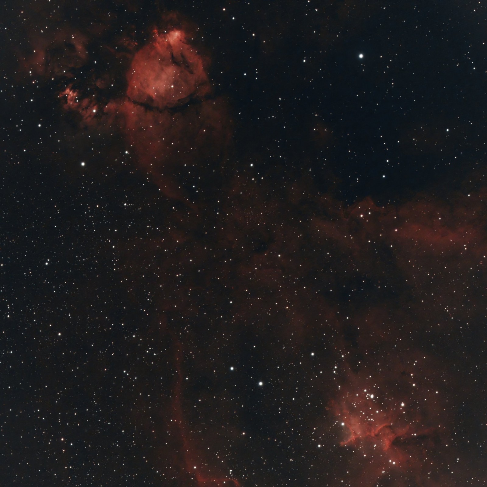 r_IC1805_stacked - PS-DeNoiseAI-low-light.jpg