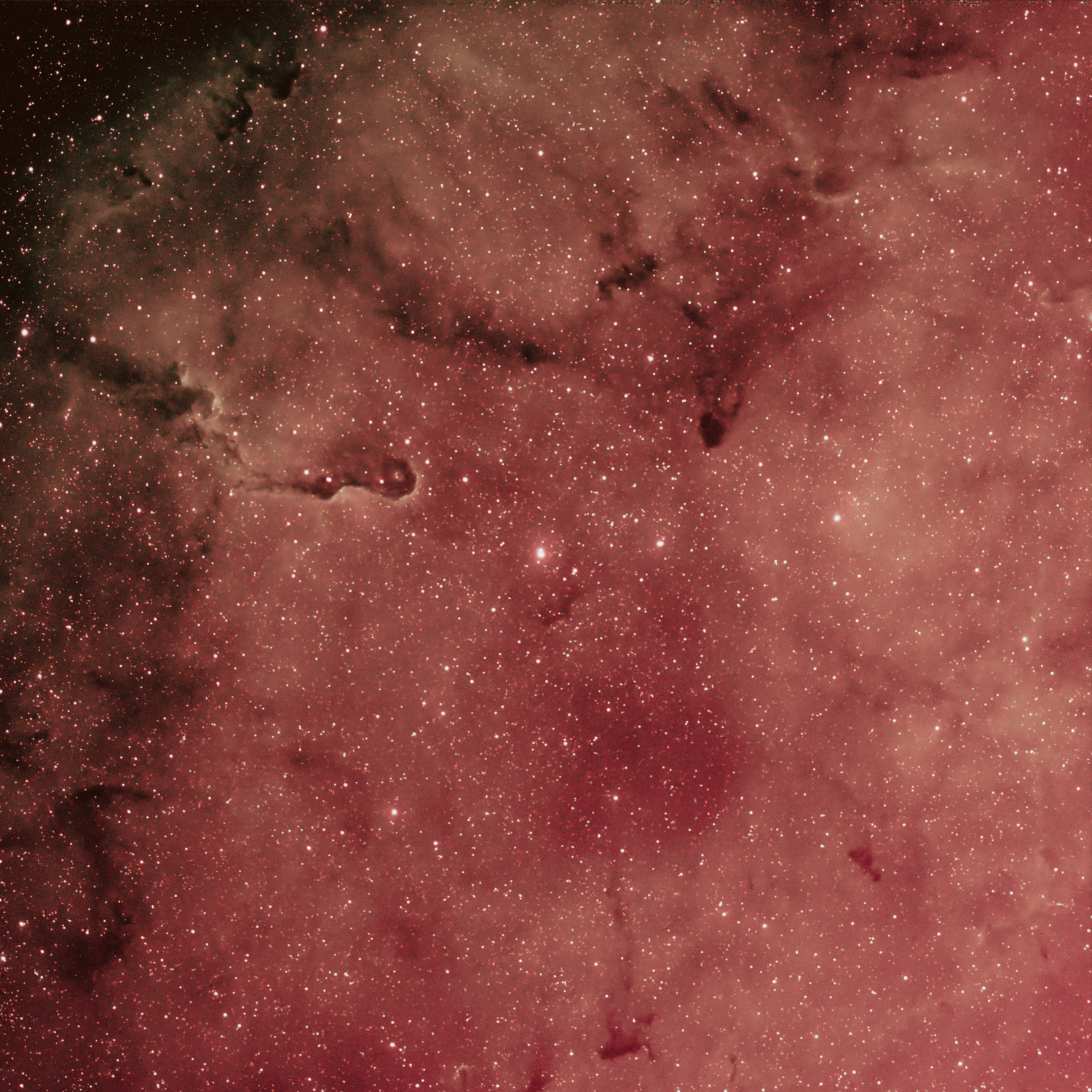 essais_trompe-HOO_2pixps (1).png