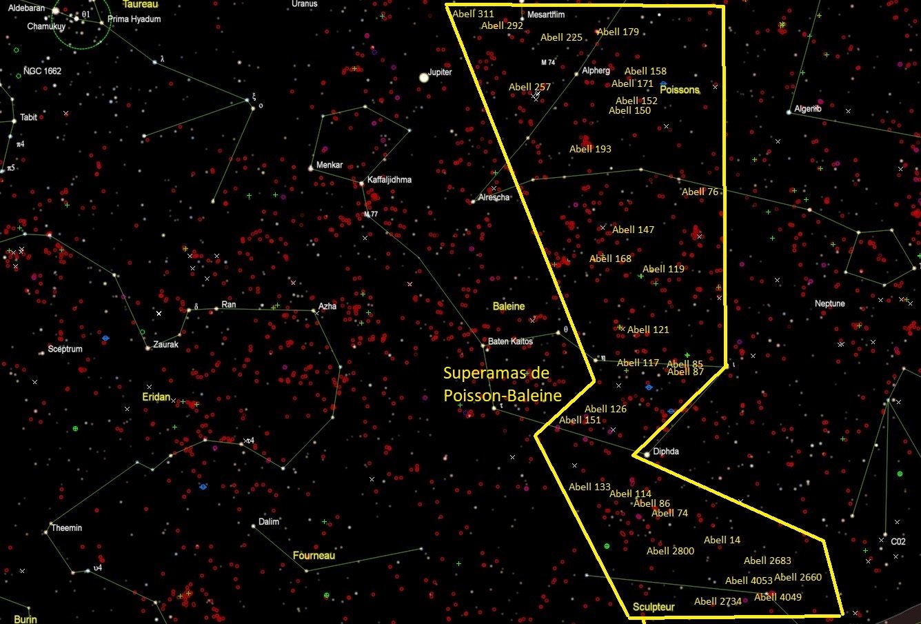 Axe Superamas Poisson Baleine.jpg