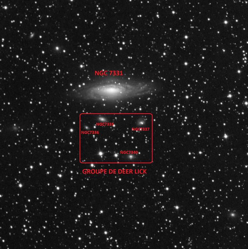 Groupe de Deer Lick.png