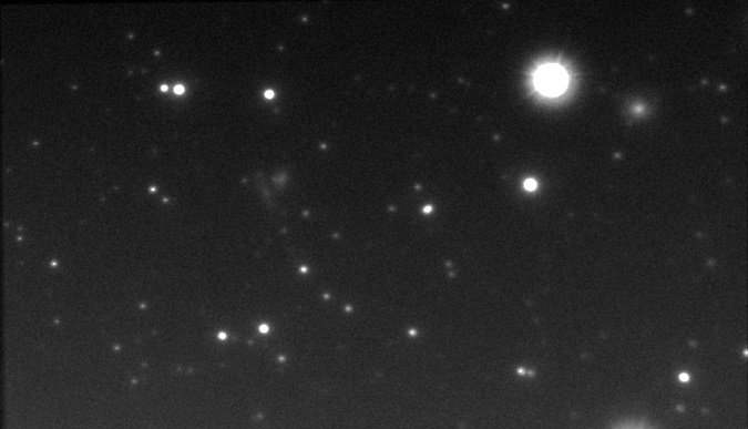 Stack_170frames_241s_WithDisplayStretch queue Lion.jpg