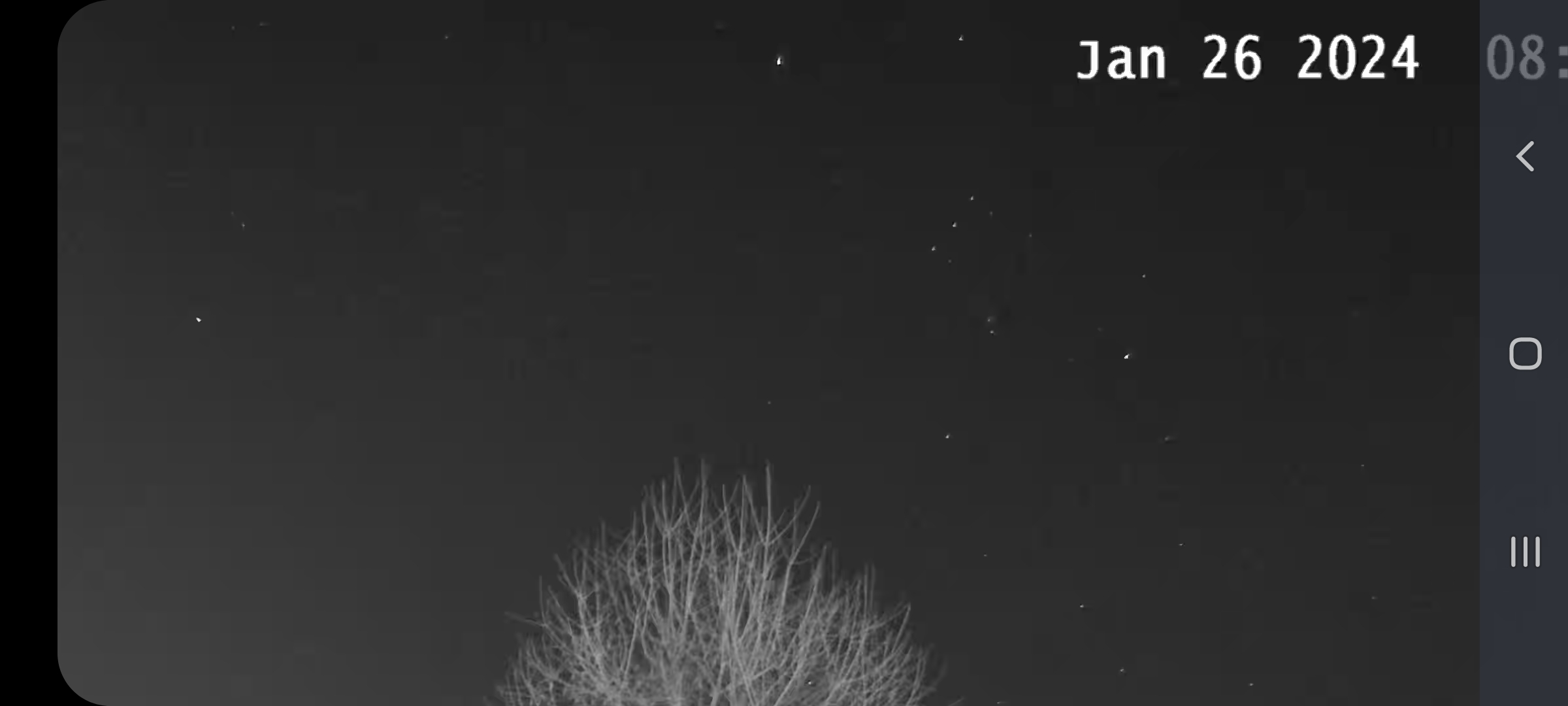 Screenshot_20240126-205951_eufy Security.jpg